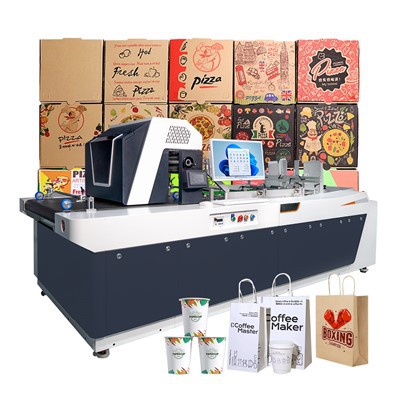 Pratic Carton Box prentari